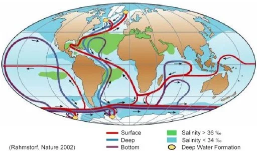 Atlantic Meridional Overturning Circulation (AMOC)